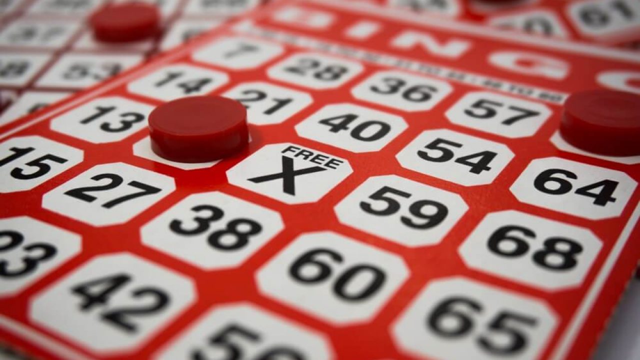 Bingo Regeln Einfach Erklart Onlinelottovergleich De